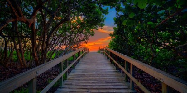 WHY ARE SO MANY PEOPLE MOVING TO FLORIDA?