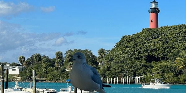 JUPITER’S LOVE STREET: TOP RESTAURANTS, ACTIVITIES, AND SHOPS