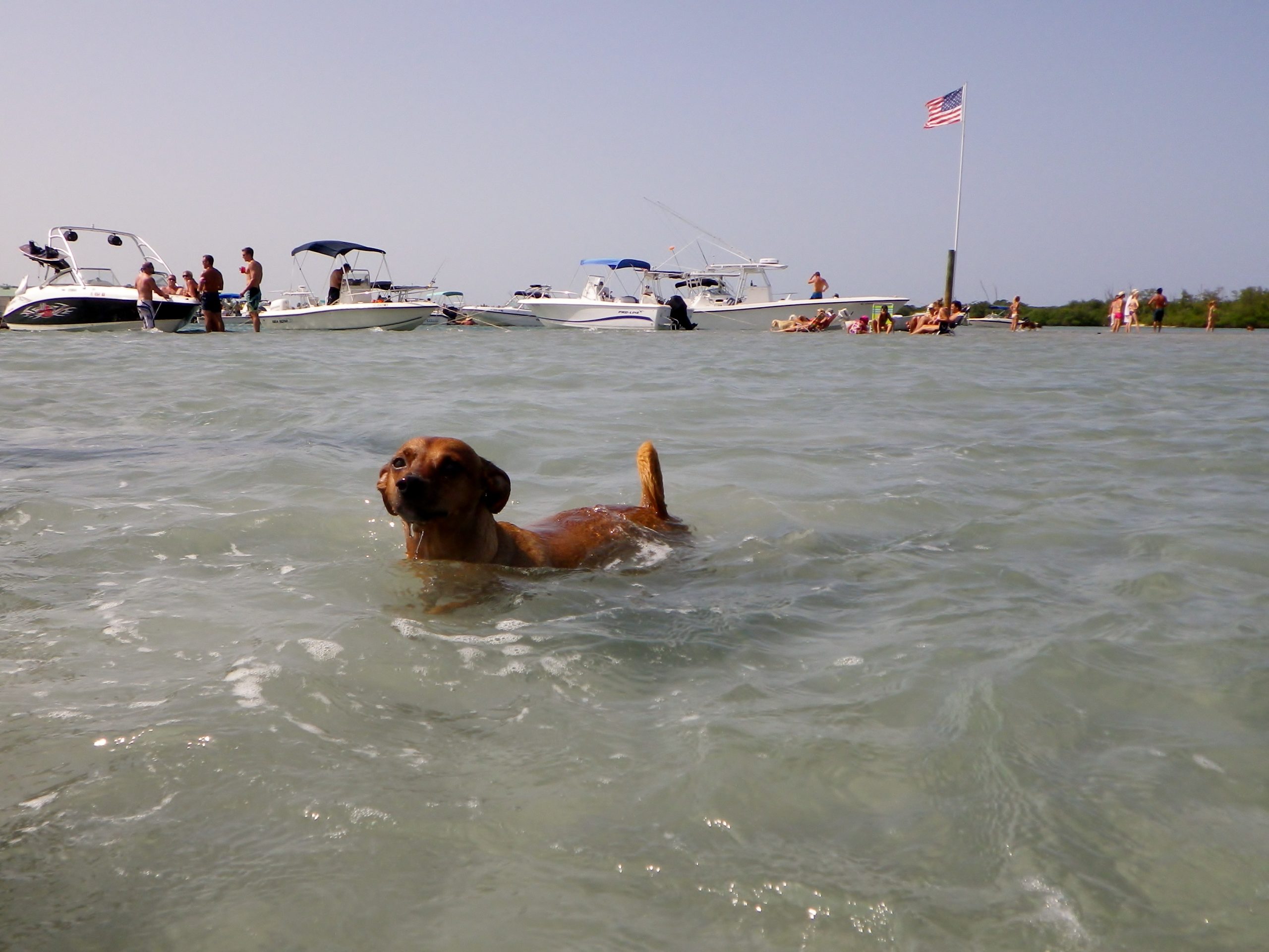 Why More New Yorkers Are Heading to Jupiter, FL—And What It Means for Local Real Estate<