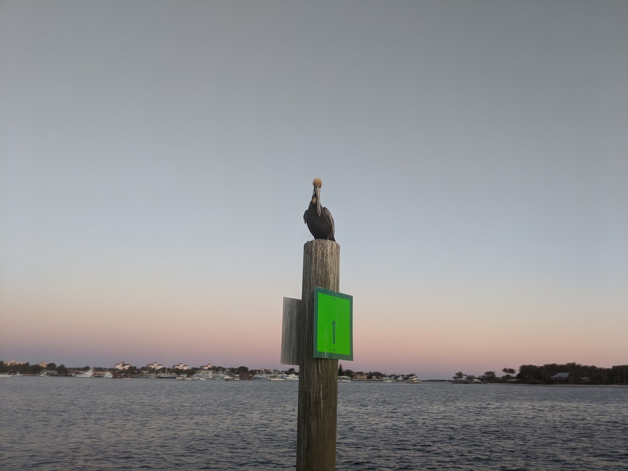 Why More New Yorkers Are Heading to Jupiter, FL—And What It Means for Local Real Estate<